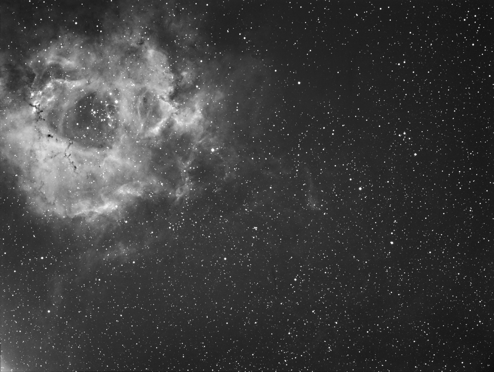 Rosette Nebula-ha
