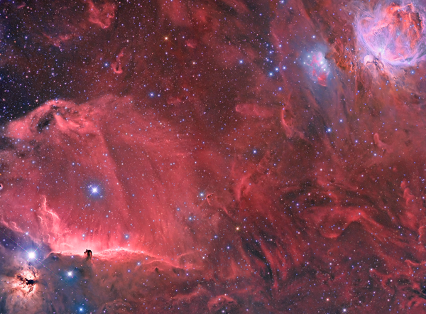 Orion & Horse Nebula Widefield (halrgb)
