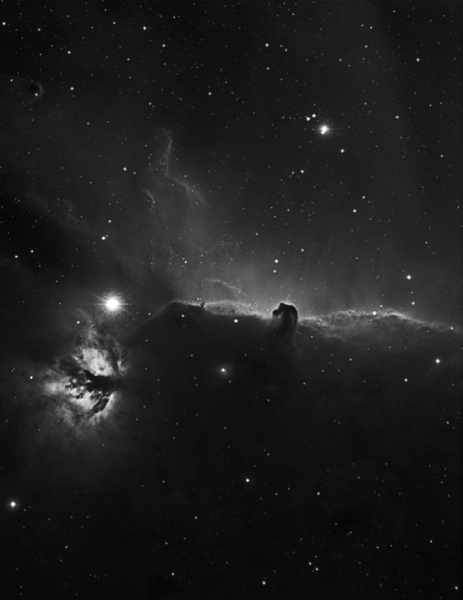 Horsehead And Flame Nebulae