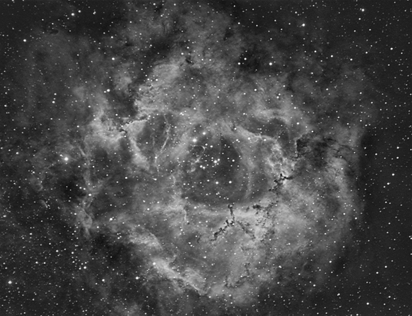 Ngc 2237 Rosette Nebula In Ha