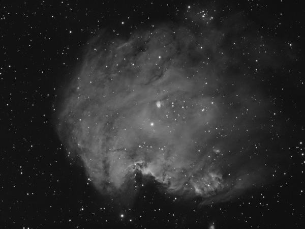 Ngc 2175 Monkey Head In Ha