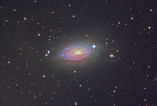 Sunflower Galaxy - M63