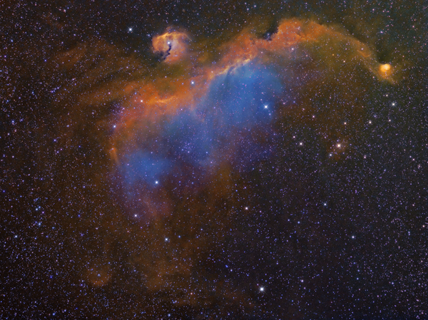 Ic - 2177 Seagull Nebula (hubble Palette)