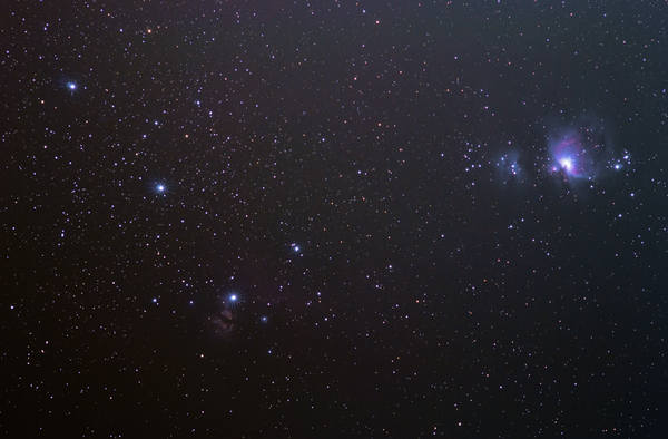 Orion Widefield