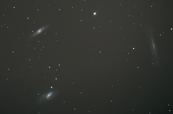 Leo Triplet