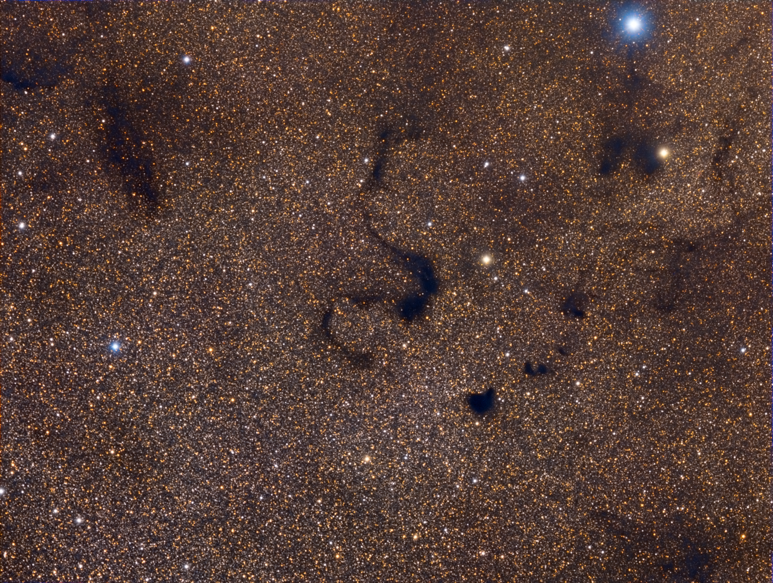 Snake Nebula (Barnard 72)