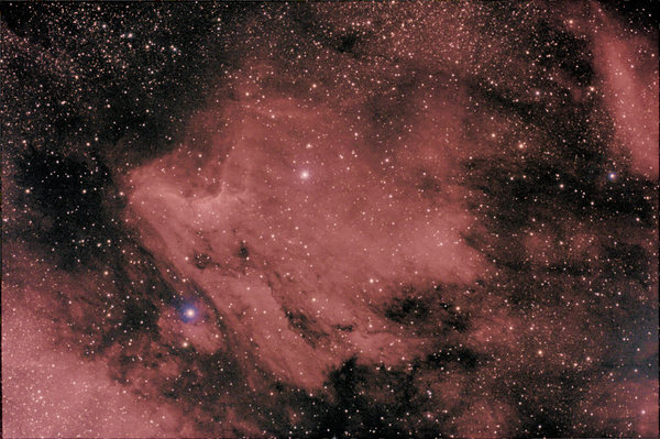 The Pelican Nebula