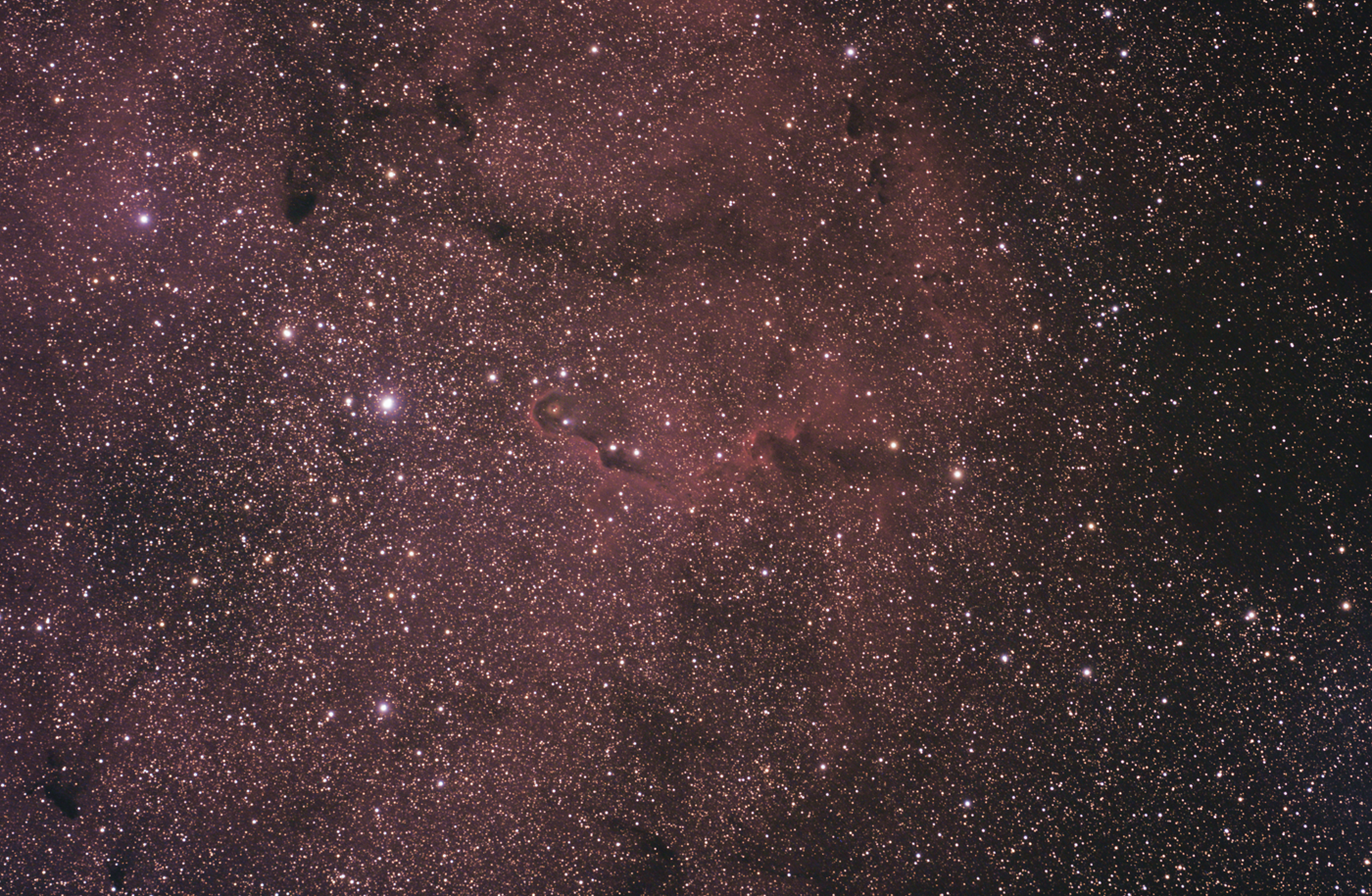 Ic 1396 - Elephant's Trunk Nebula