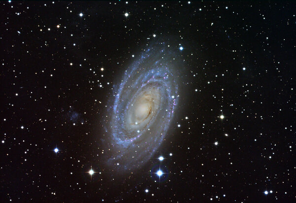 M81