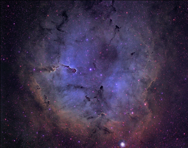 Ic 1396 - The Elephant Trunk Nebula - (widefield)