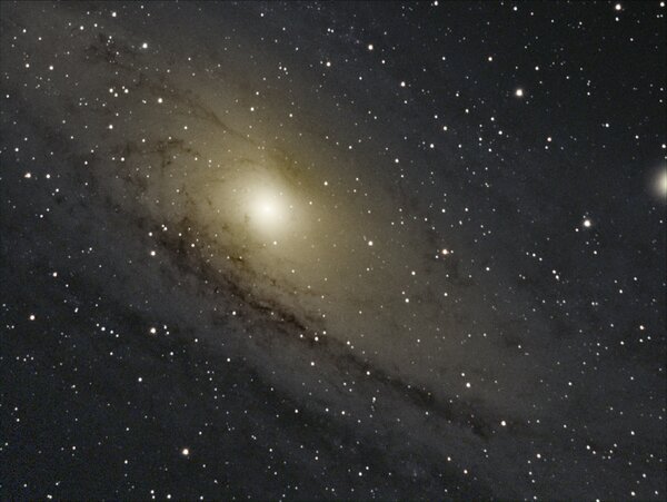 M31