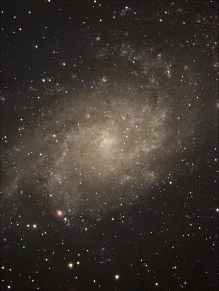 M33