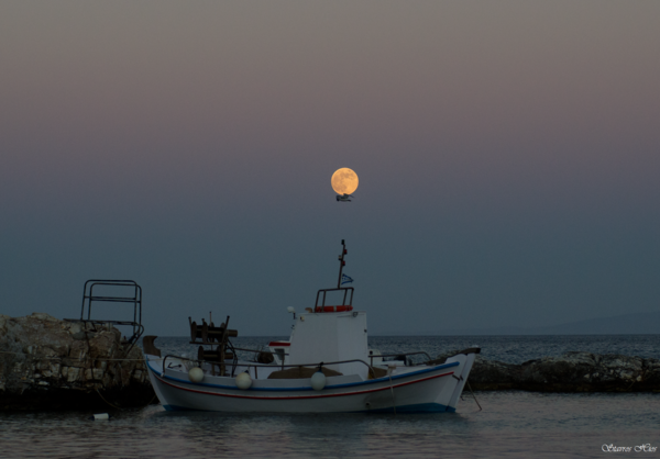 ΤΟ ΠΕΤΑΓΜΑ ΠΡΟΣ ΤΗΝ ΕΛΕΥΘΕΡΙΑ