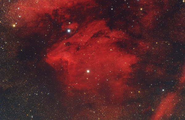 Ic5067 Pelican