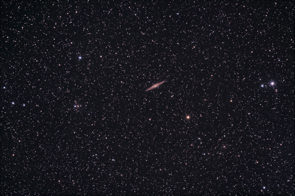 Ngc 891