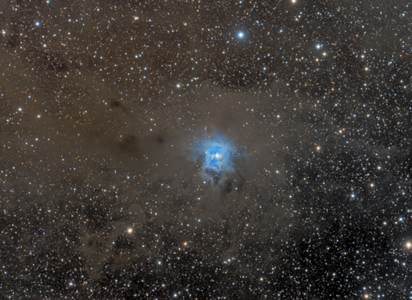 Ngc 7023 - Iris Nebula - Lrgb