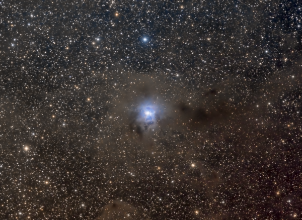 Ngc7023 - Iris Nebula