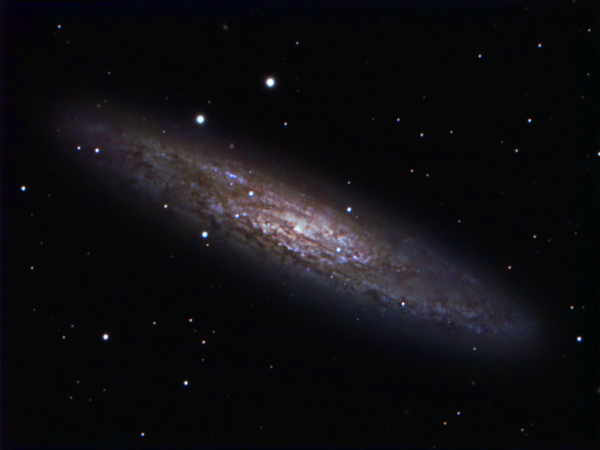 Sculptor Galaxy - Ngc 253