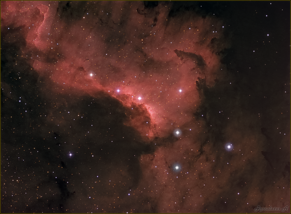 Νεφέλωμα Βόρειας Αμερικής - NGC7000