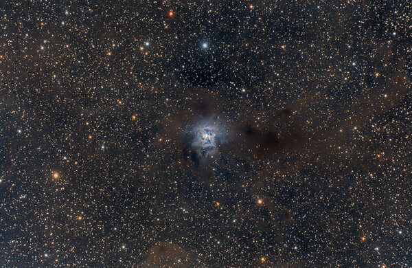 Ngc 7023 Iris