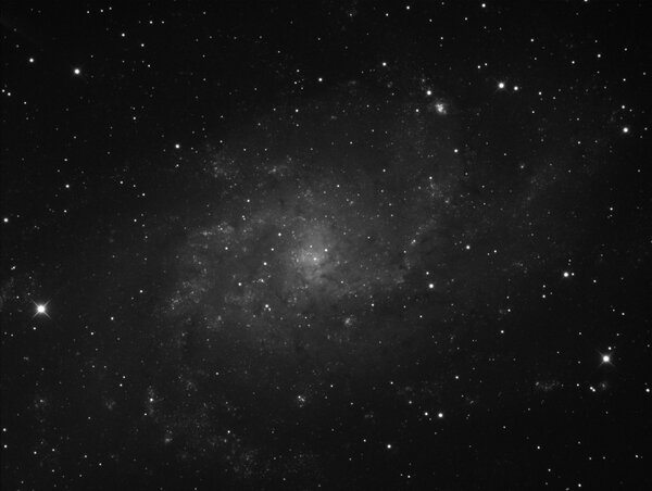 M33