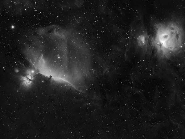 Orion Nebula + Horse Head Nebula