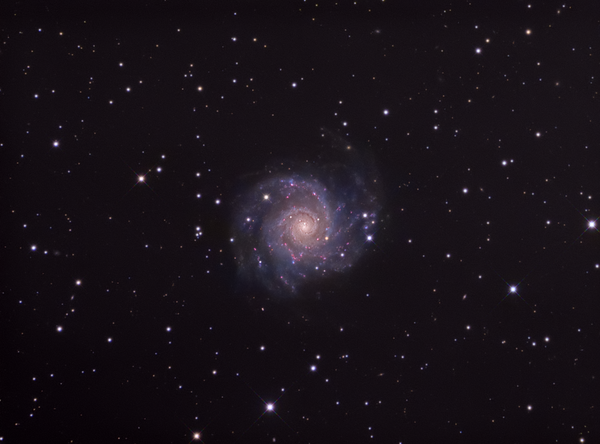 Ngc 628 - M74 Spiral Galaxy