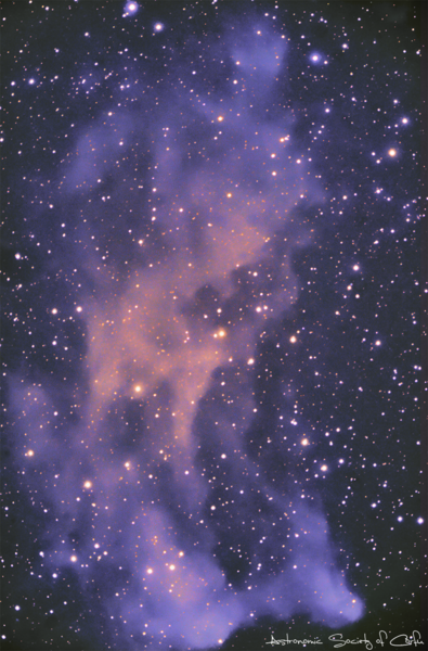 Ic 2118 - Witch Head Nebula
