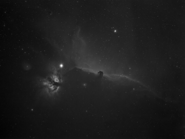 Horse Head Nebula (ha)