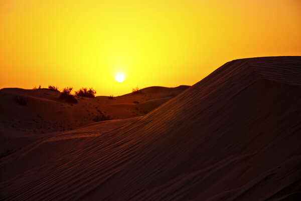 Sunset In The Desert