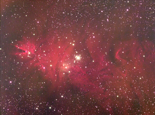 Ngc2264