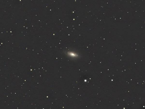 Ngc3521