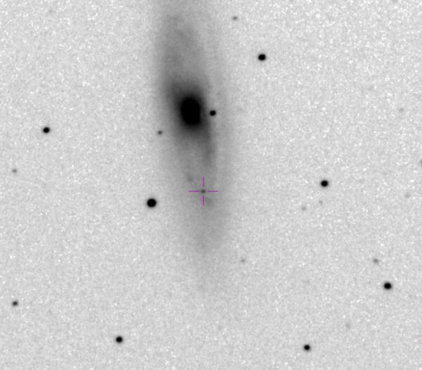 Supernova στον Μ65