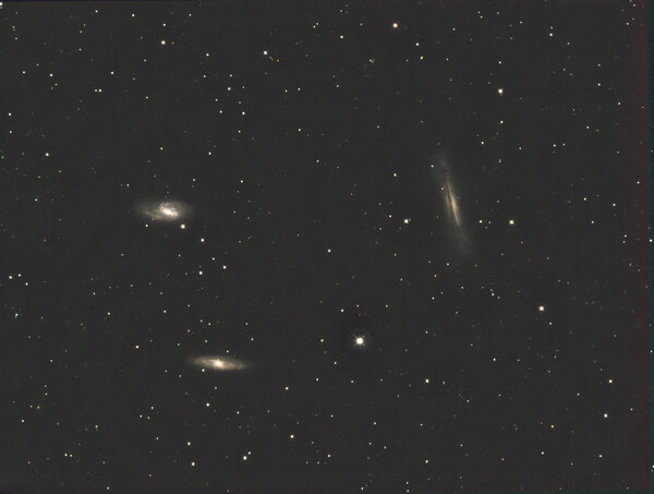 Leo Triplet