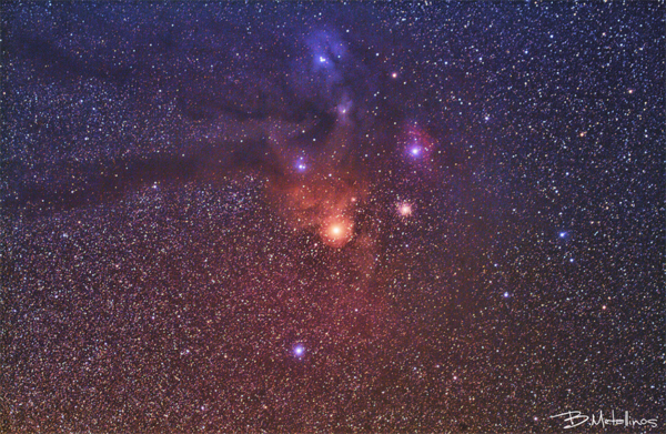 Antares & Rho Ophiuchus Region