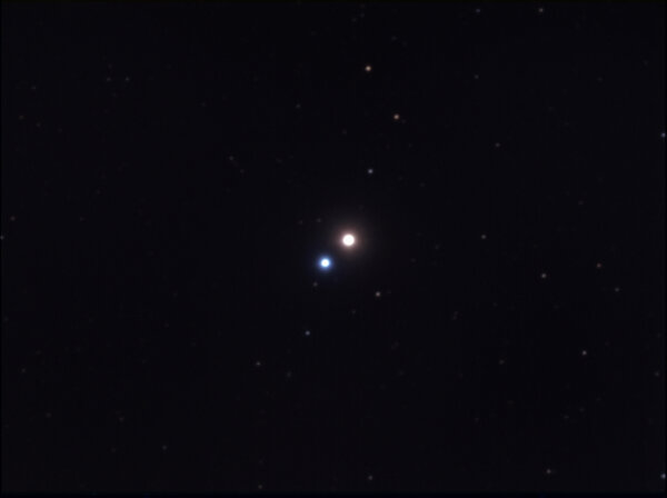 Albireo
