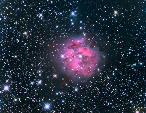 Ic 5146 Cocoon Nebula