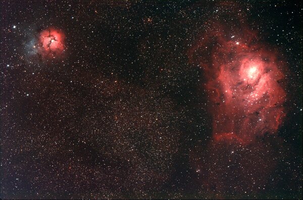 Trifid And Lagoon