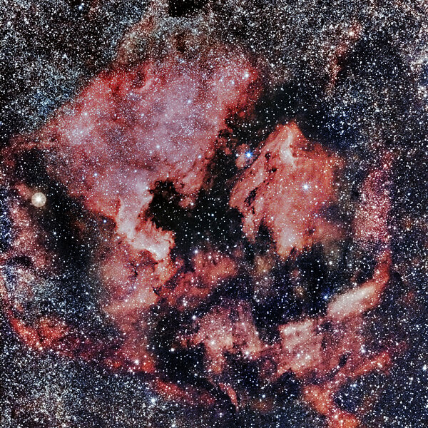 Ngc 7000 Widefield