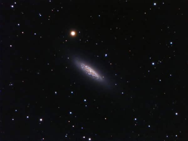 Ngc 6503 στόν Δράκοντα (local Void Region)