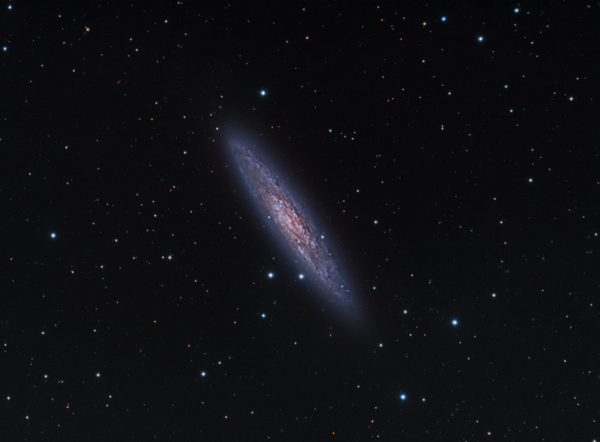 Ngc 253 Sculptor - The Silver Coin Galaxy