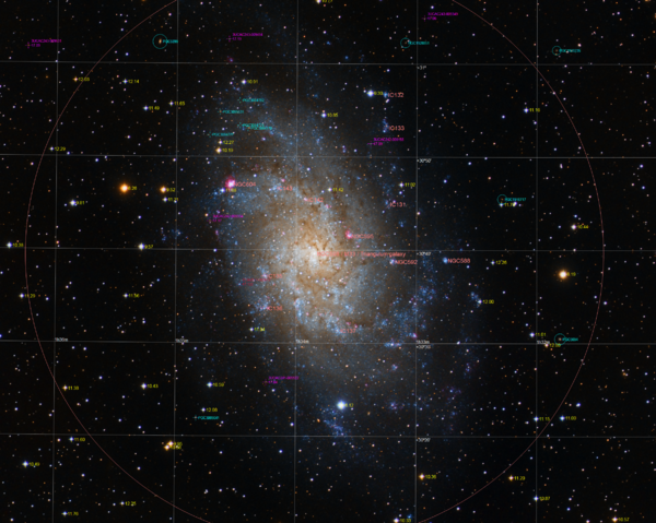 M33 Triangulum Galaxy Rgb (ngc 598) Annotated