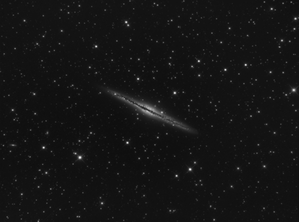 Ngc 891