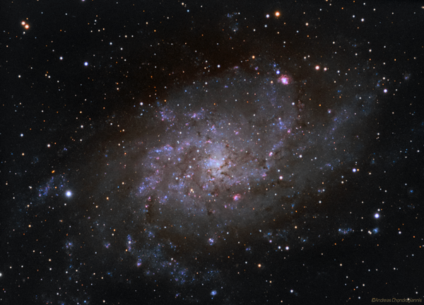 M 33 Triangulum Galaxy In Lrgb