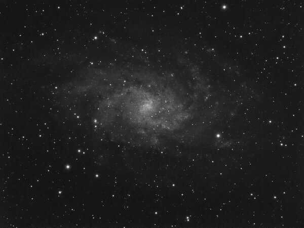 M33