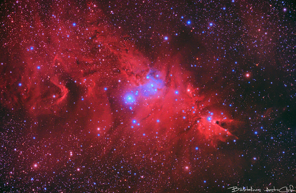 Ngc 2264, Cone Nebula, Christmas Tree Cluster