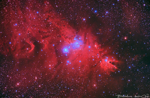 Περισσότερες πληροφορίες για το "Ngc 2264, Cone Nebula, Christmas Tree Cluster"