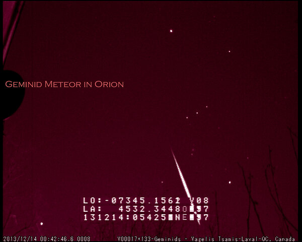Geminid Meteor In Orion