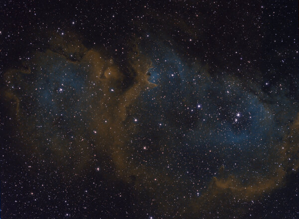 Ic 1848