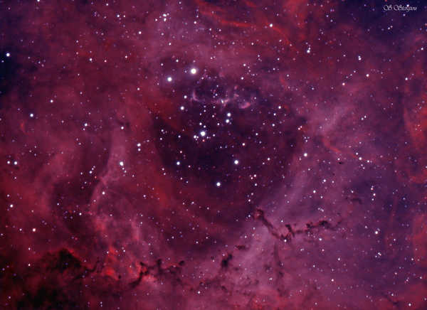 Rosette Nebula Bicolor